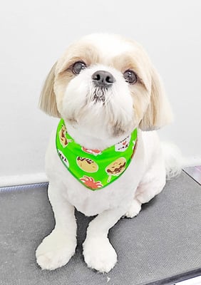 榊原もちちゃん