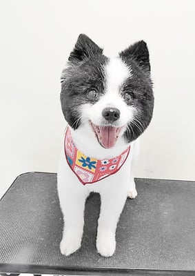 八木マリアンちゃん