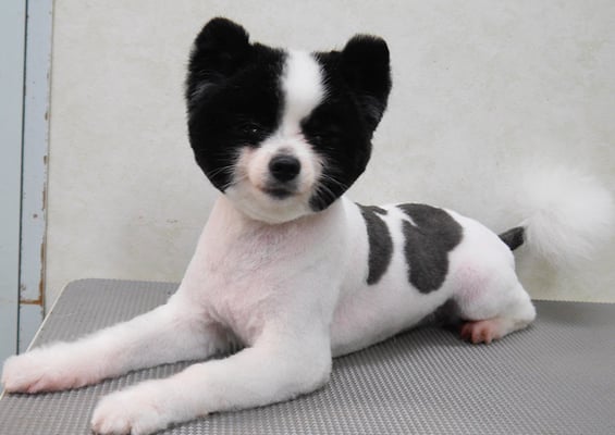 森崎マリアンちゃん