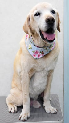 平松マックスちゃん