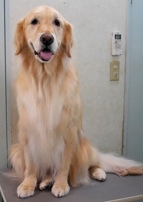 美代ジューンちゃん