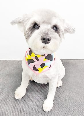 新田つむぎちゃん