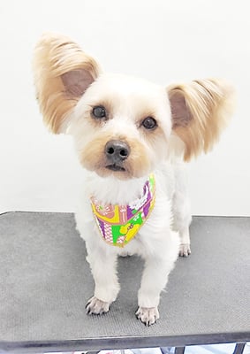 米森もーりーちゃん