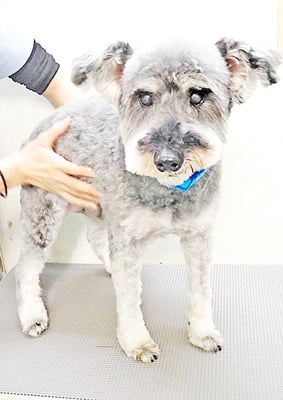 西野来斗ちゃん