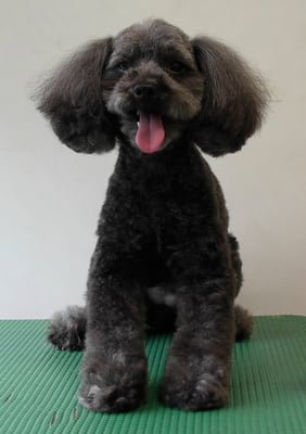 森崎ラブちゃん