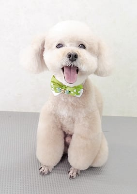 肥田クウちゃん