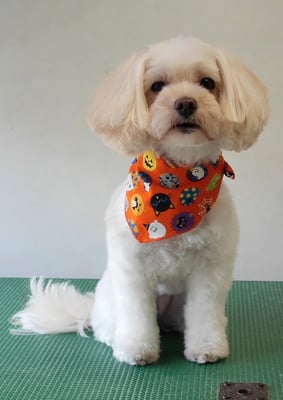 濱島クレアちゃん