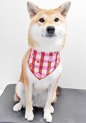 玖須ルビーちゃん