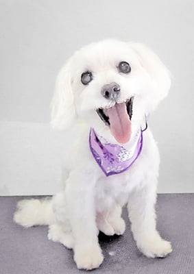 山口ふうたちゃん