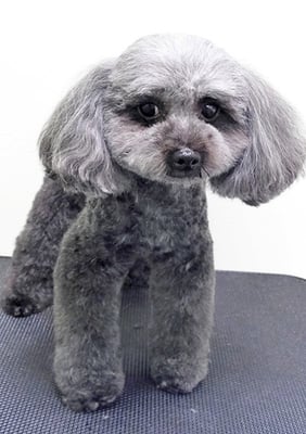 森崎ラブちゃん