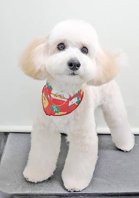 長谷ラナちゃん