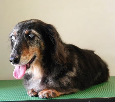 西山ユウちゃん