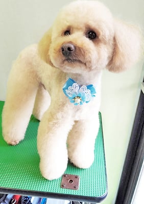 藤久保くうたちゃん