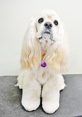 福富ベリーちゃん