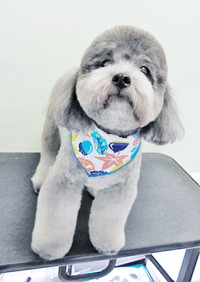 菅原そらちゃん