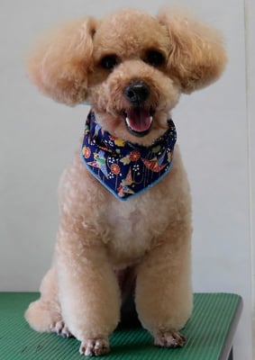 二宮モコちゃん