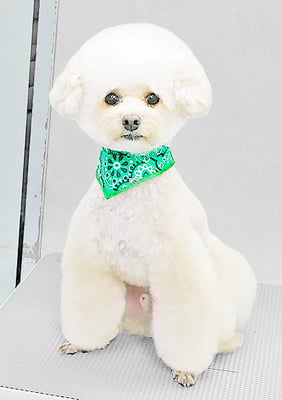 山村レオンちゃん