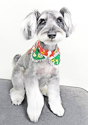 糸山そらちゃん