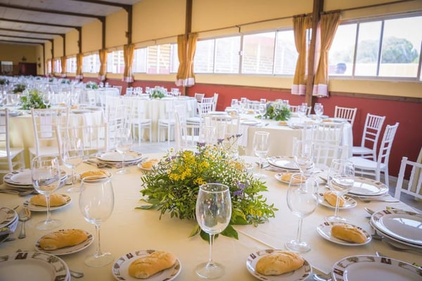 Finca para celebraciones y suelta de vaquillas en Cadiz