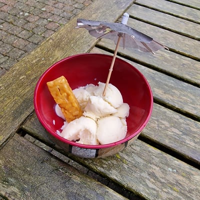 (c) D.Sepulchre - La Buissière vous partage la recette simplissime de la glace parfumée aux fleurs de sureau