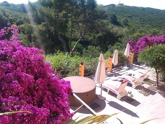 Vue depuis la terrasse