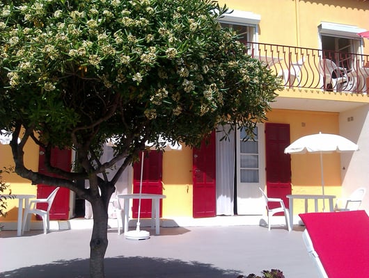 Terrasse au pytosporum