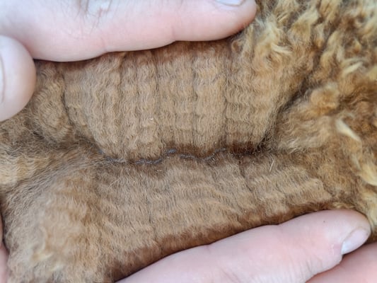 Hinten auf der Hüfte wurde dieses Foto gemacht. 