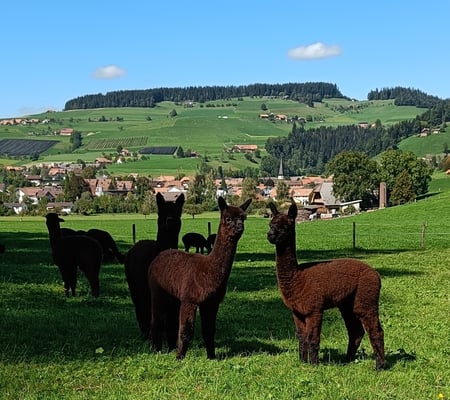 Liam mit Liana links