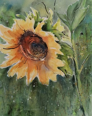 Sonnenblume, 30 x 40 cm