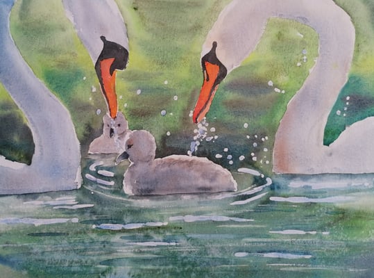 Schwäne, 40 x 30 cm