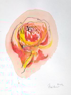 JAKOB  11  |  20x30cm