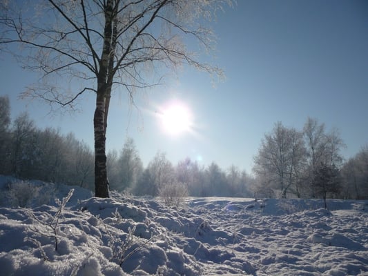 NSG Rütterberg im Januar 2009
