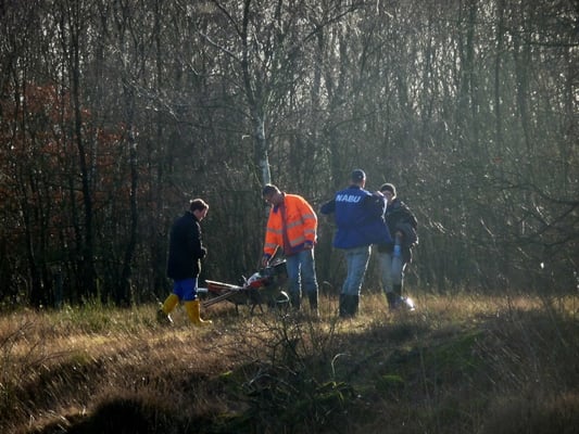 Heidepflege- eine echte "Plackerei"