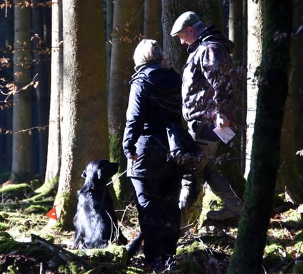 Meo vor der ersten Aufgabe - Haarwildschleppe