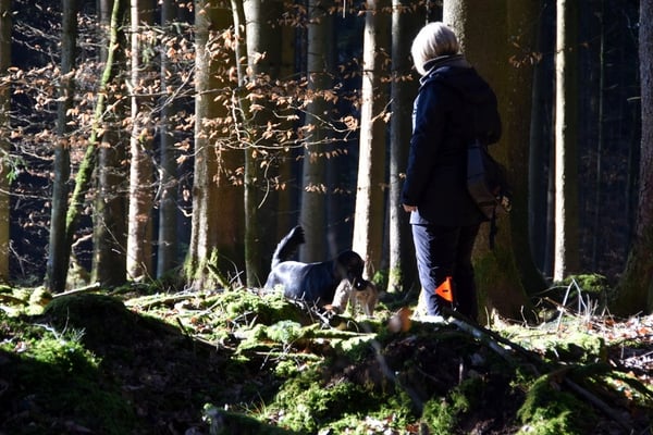 super toll gemacht mein Grosser!