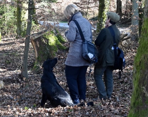 und die letzte Aufgabe - die Markierung!