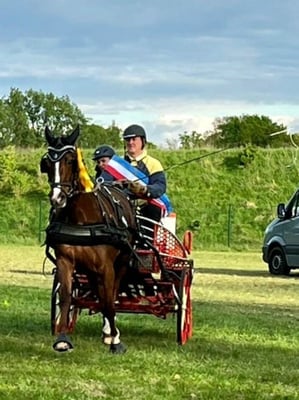 Gold für Wilfried Hilse