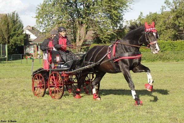 Jörn Sievers / Leo  (VRG Westercelle)