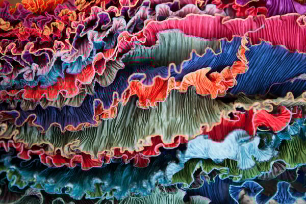 Détail écharpes Bouquet final