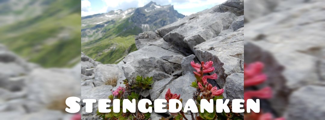 Steinzitate Sprichwörter mit Steinen