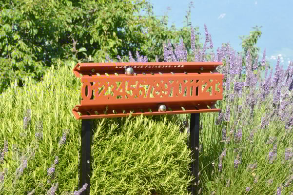 Score board for balls game