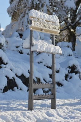 ROLL counter installed on H125 Bracket