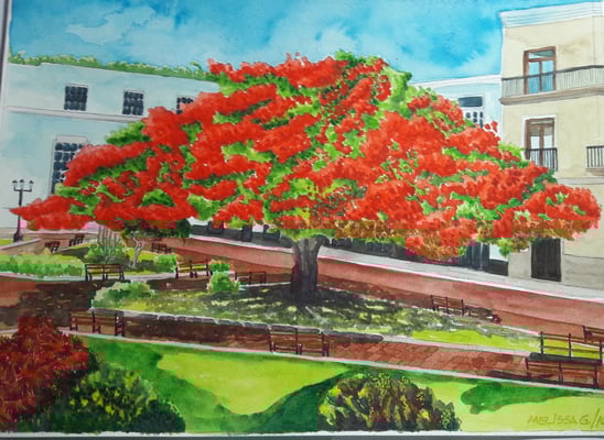“Pasión Flamboyán”. ACUARELA VENDIDA. Tamaño: 11´ pulgadas de ancho X 14.75 pulgadas de alto, 27.9cm de ancho  x 38.1cm de alto. VENDIDA