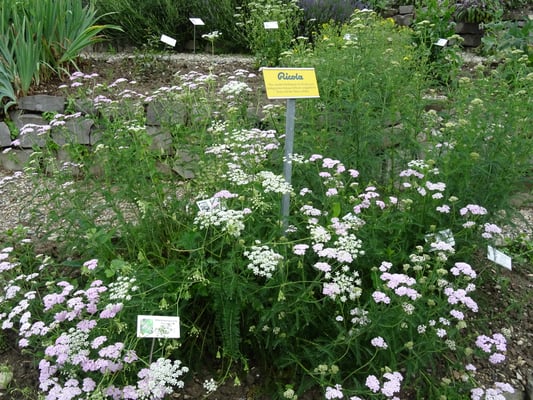 Fotos: Hergiswil Tourismus