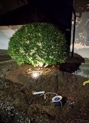 ... wird zur schimmernden Leuchtkugel