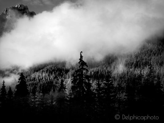 Delphicaphoto - Reportage Dolomiti 16