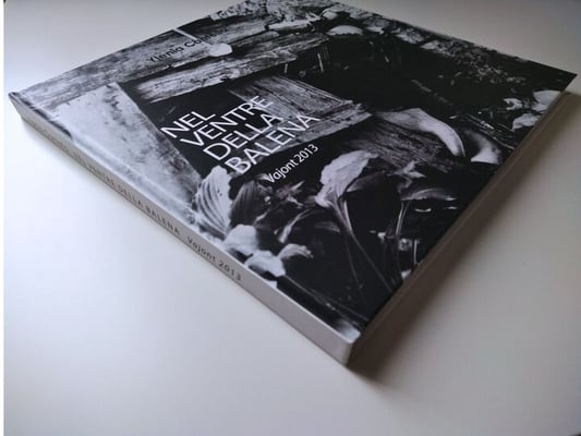 Dettaglio della copertina del libro