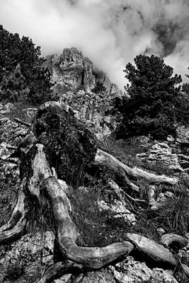 Delphicaphoto - Reportage Dolomiti 04