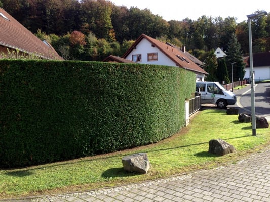 Gartenpflege Franke - Ihr Landschaftsgaertner für Gartenpflege, Hecken- und Baumschnitt in Nidda, Hungen, Lich, Buedingen, Bad Vilbel, Butzbach, Altenstadt, Bad Vilbel und Wölfersheim