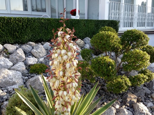 Gartenpflege Franke - Ihr Landschaftsgaertner für Stein- und Kieswege und Steingarten in Nidda, Hungen, Lich, Buedingen, Bad Vilbel, Butzbach, Altenstadt, Bad Vilbel und Wölfersheim